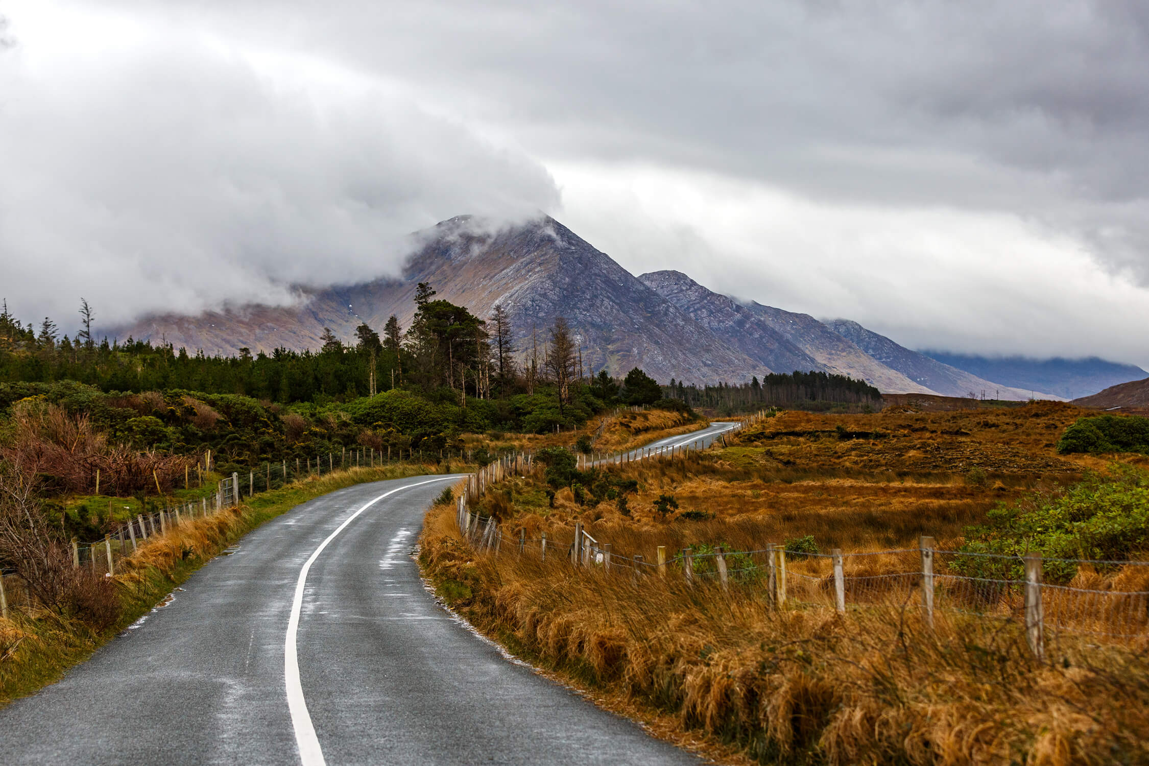 Una strada tortuosa sulla Wild Atlantic Way irlandese