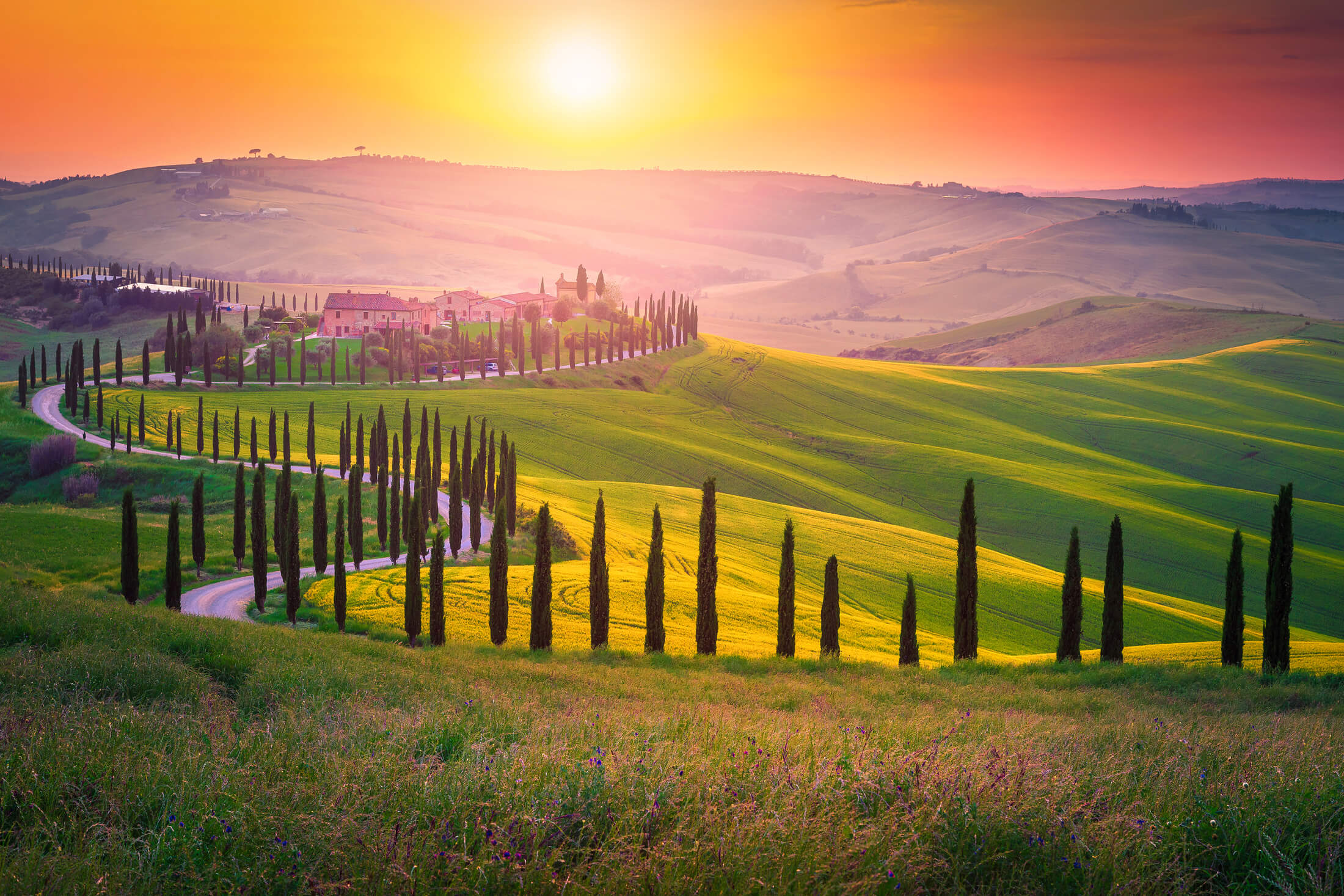 Tramonto in Toscana, Italia, su una strada fiancheggiata da cipressi