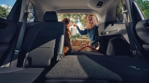 Sedile posteriore del SUV CR-V Hybrid con donna e cane nel bagagliaio aperto. 