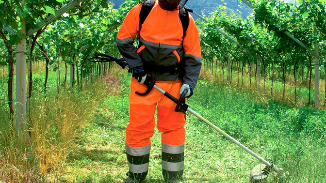 Modello che utilizza un decespugliatore spalleggiato in un campo.