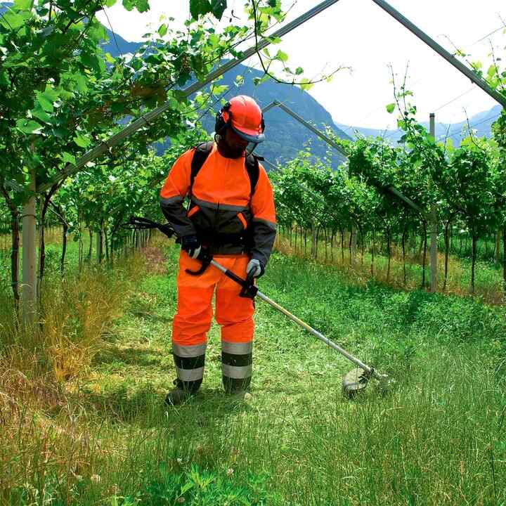 Modello che utilizza un decespugliatore spalleggiato Honda in un campo.