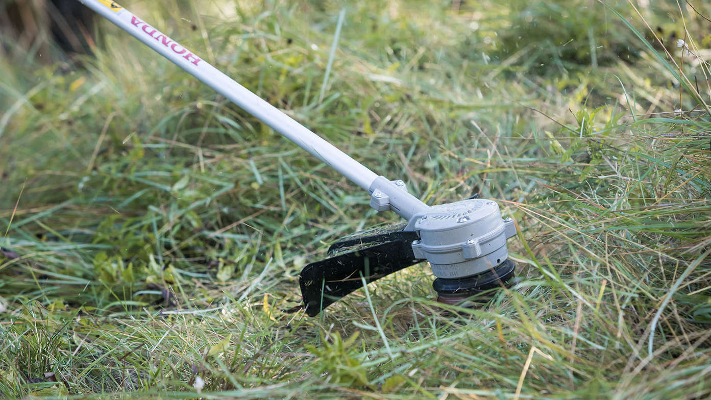 Honda cordless brushcutter trimming field.