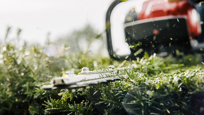 Primo piano del tagliasiepi in uso