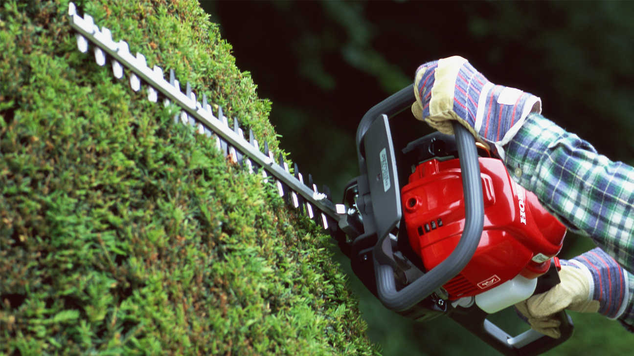 Tagliasiepi Honda, primo piano dell'unità in uso, luogo di utilizzo: giardino.