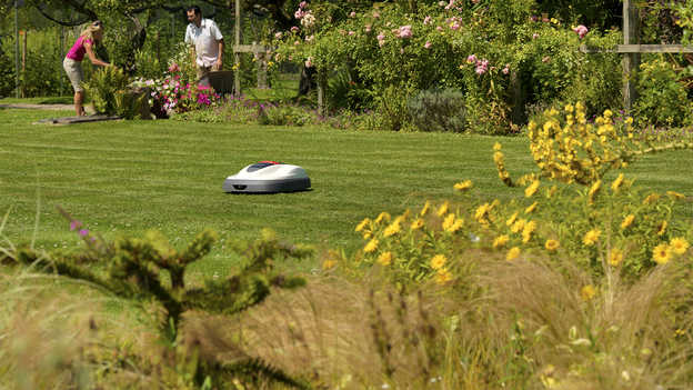 Miimo sul prato in giardino