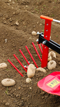 Dettaglio dello scava patate, luogo di utilizzo: giardino.