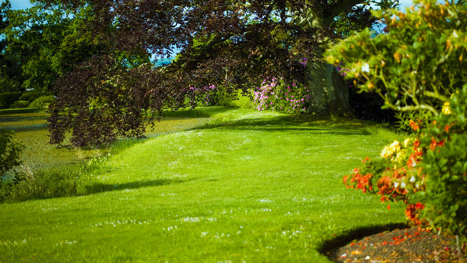 Luogo di utilizzo: giardino.