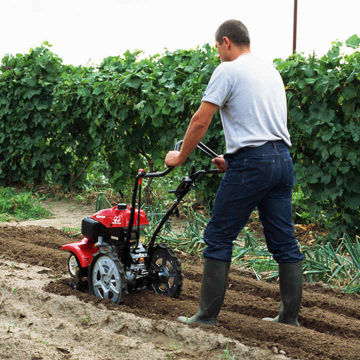 Uomo che spinge la motozappa controrotante in un campo