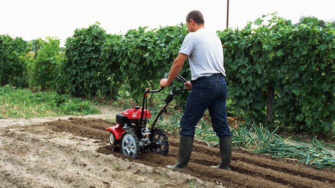 Motozappa controrotante, utilizzata da un operatore, luogo di utilizzo: giardino.