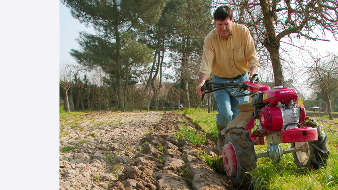 Motozappa versatile, utilizzata da un modello, luogo di utilizzo: giardino.