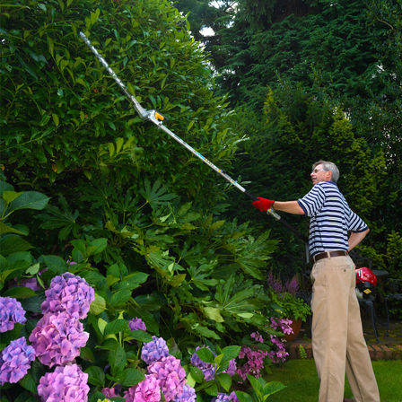 Honda Versatool con attrezzo tagliasiepi, utilizzato da un modello, luogo di utilizzo: giardino.