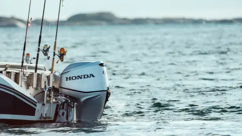 Primo piano del motore BF60 in ambiente acquatico.