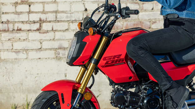 Forcelle anteriori USD MSX125 Grom