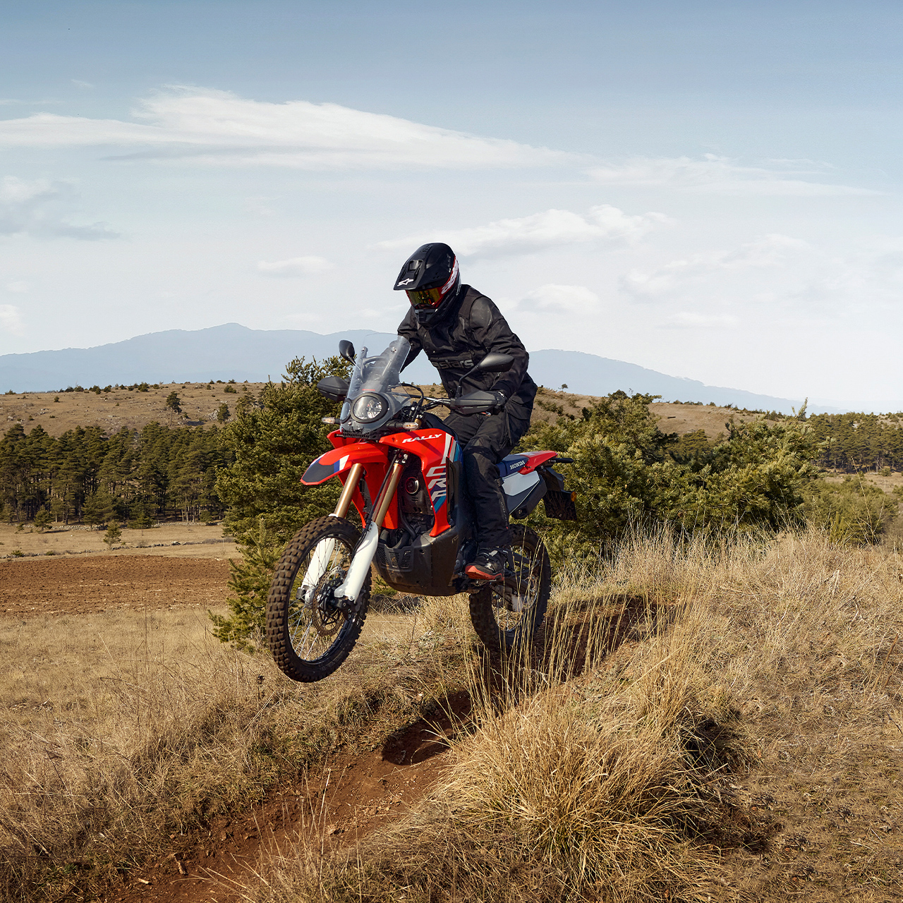 Moto Honda CRF300L e CRF300 Rally.