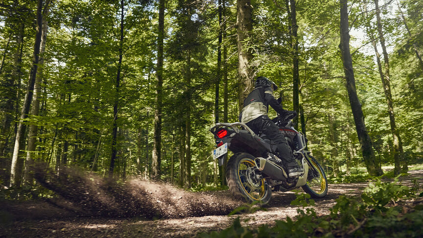Pilota alla guida di XL750 Transalp in un luogo boschivo.