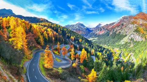 Splendida vista della strada del passo del Maloja in autunno. Colorato panorama autunnale delle Alpi svizzere. Posizione: Passo Maloya, regione dell'Engadina, Cantone dei Grigioni, Svizzera, Europa