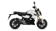 MSX125 GROM 2025 Pearl Horizon White