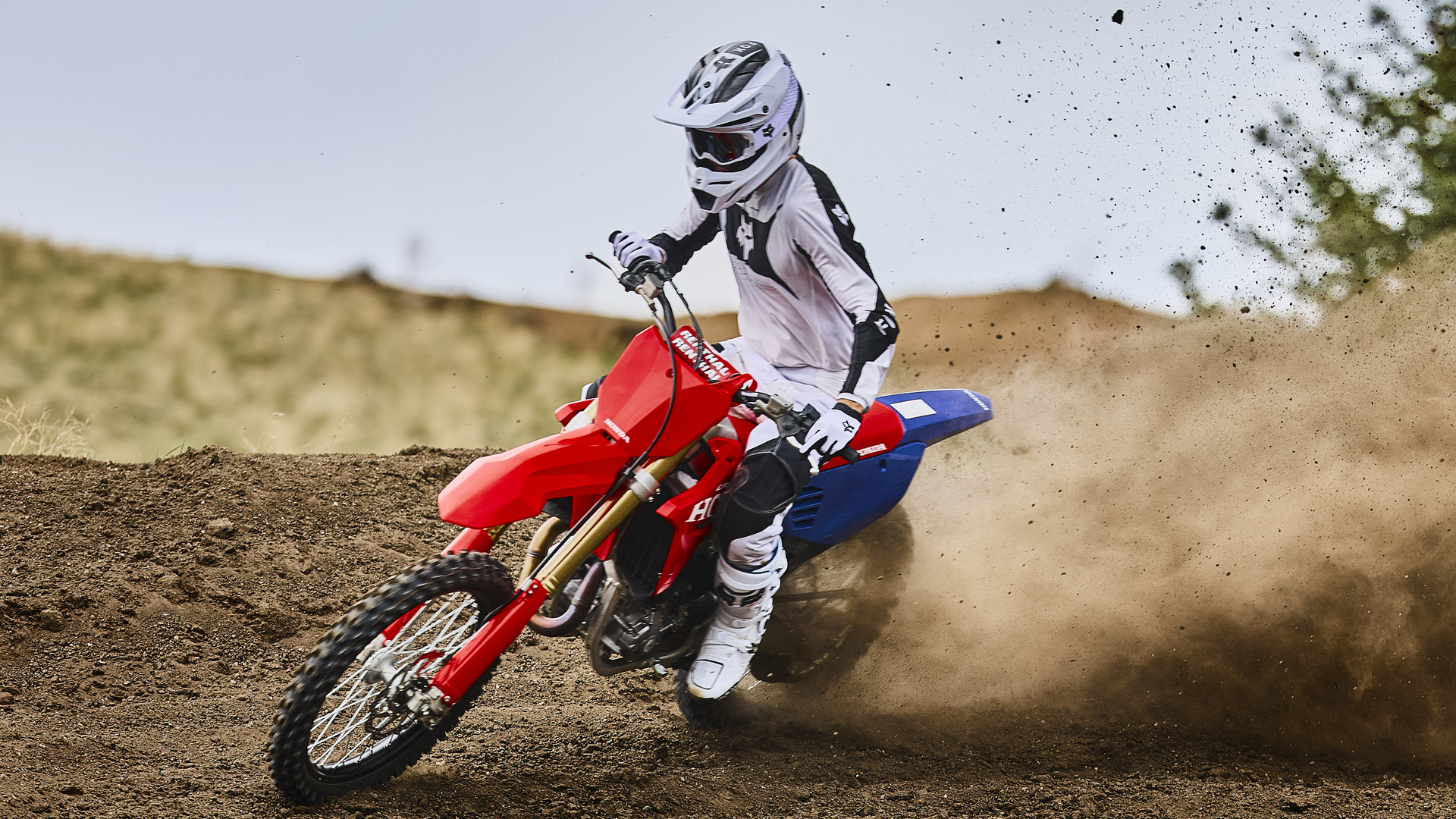 Forcelle Showa USD CRF450R da 49 mm