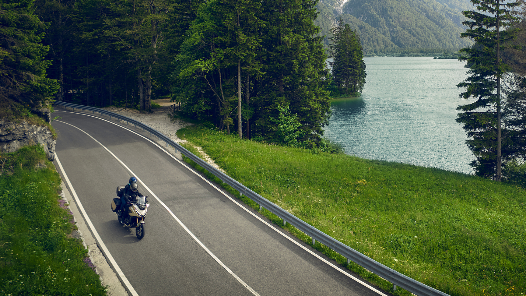 Ripresa frontale di tre quarti della NT1100 del 2025 su strada forestale