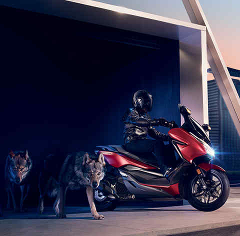 SCARICARE HONDA FORZA BATTERIA