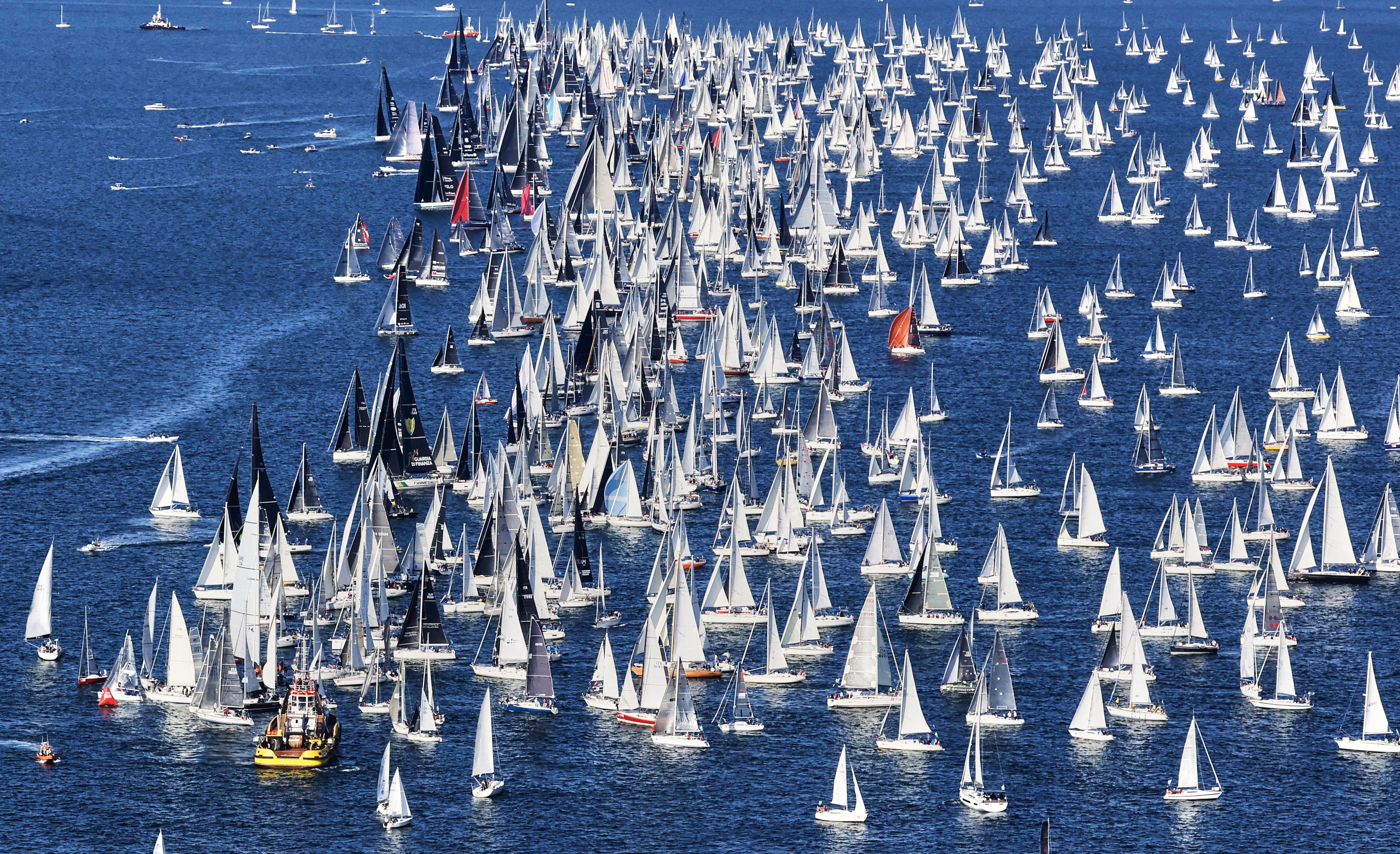 barcolana