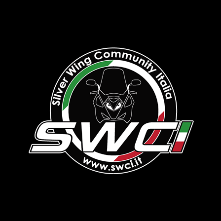 Logo Silver Wing Italia Club