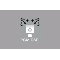 Logo PGM DSFI