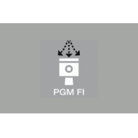 Logo PGM FI