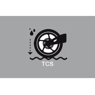 Logo TCS